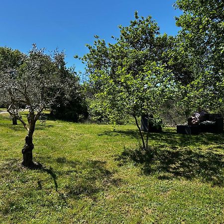 Les Demeures Du Clos Niozelles Eksteriør bilde